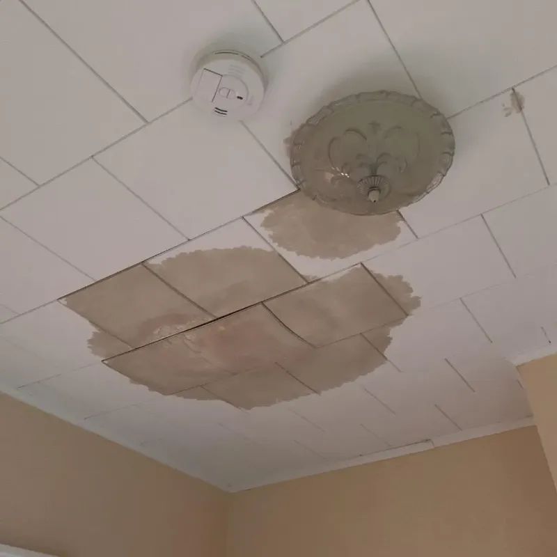 Ceiling Water Damage Repair in Rush County, KS